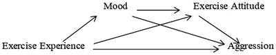 College students’ exercise experience and aggression during COVID-19: A chain mediating model